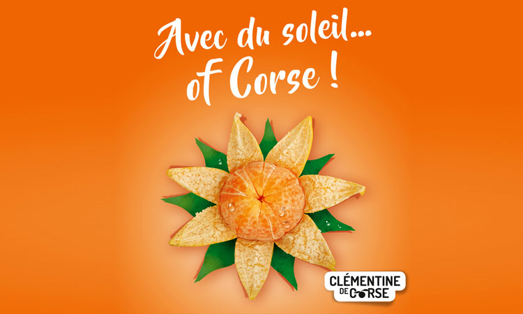 Clémentine de Corse visuel header