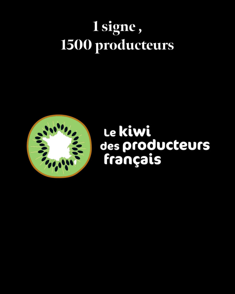 Le kiwi des producteurs français