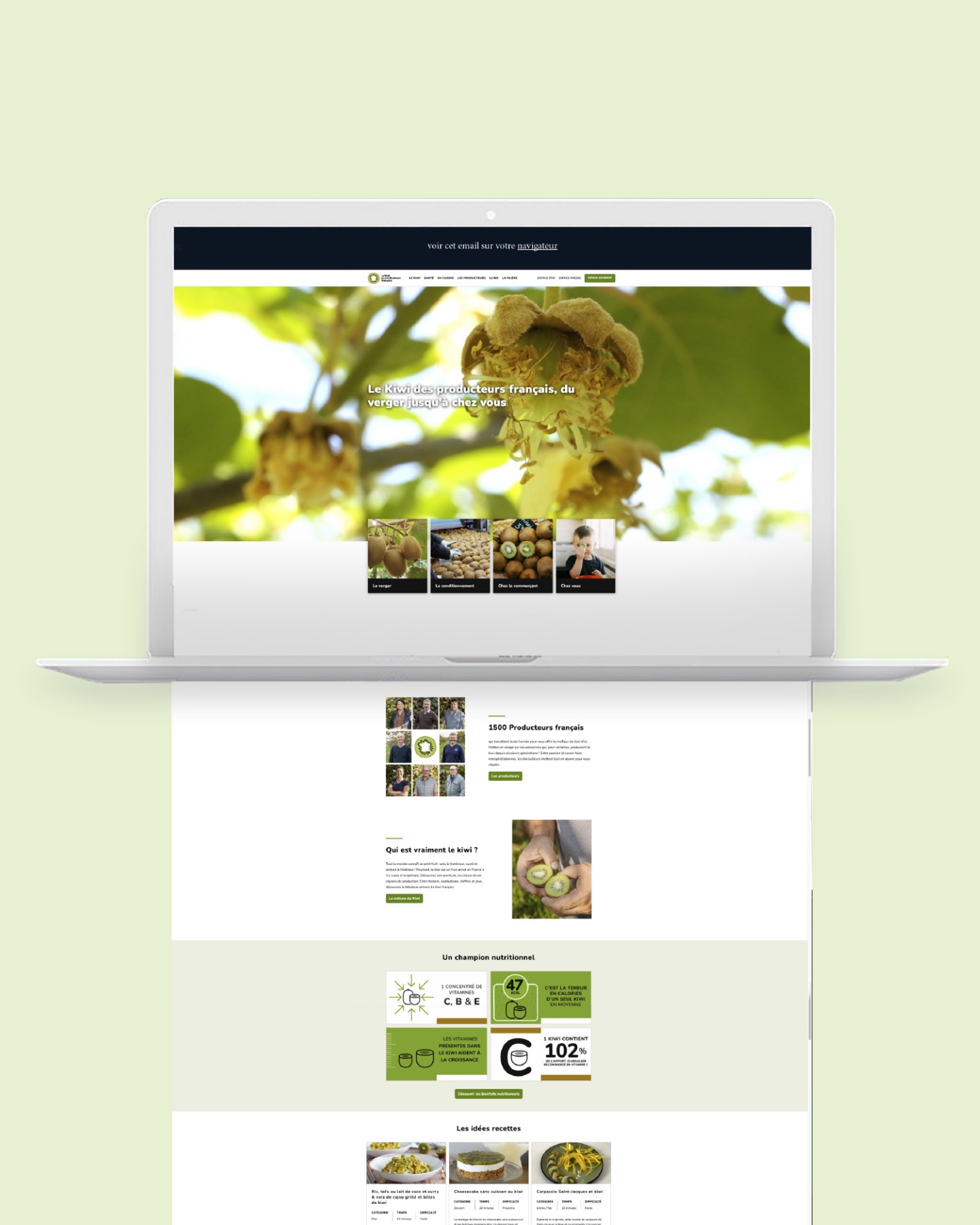 kiwi visuel site web