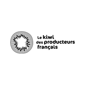 logo kiwi