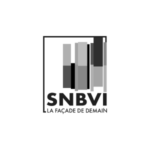 Logo SNBVI